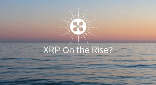 XRP Price Prediction: Bull Run on the Horizon?